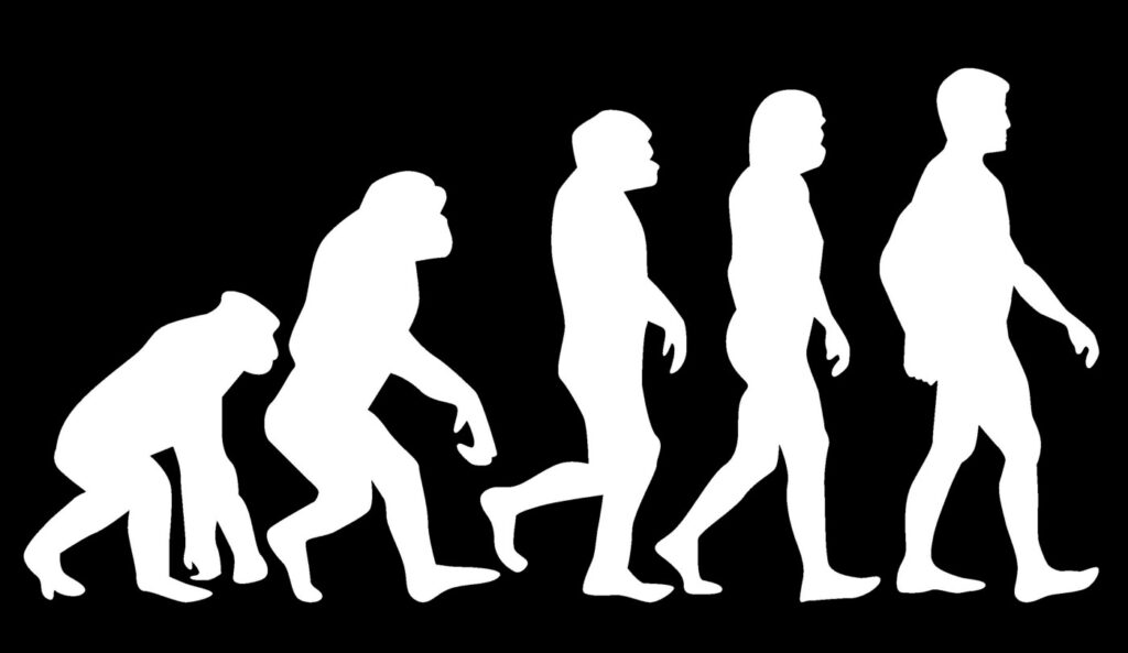 SEO Evolution Over Time